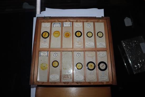 Two cases of scientific microscope slides many by Dareston, Birmingham